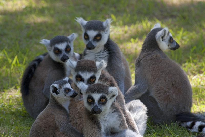 Cjp_2011_08_01_120716 (2).jpg